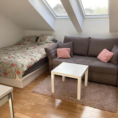 Homestay Free Park&Bikes Ljubljana Ngoại thất bức ảnh